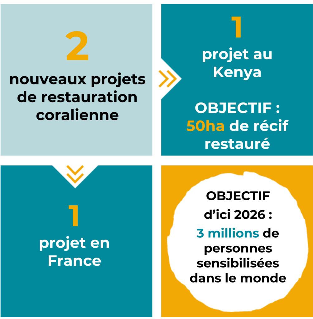 des chiffres-clés sur les actions de l'association notamment les actions qui concernent le soutien de Mirova Foundation.