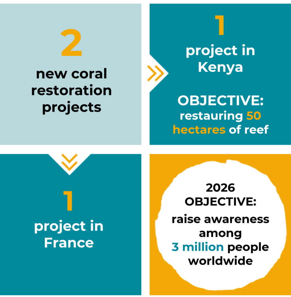 key figures on the actions of the association, in particular the actions concerning the support of Mirova Foundation.